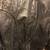 Women’s - Large - Leather Jacket 2 thumbnail