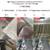 Guaranteed bed bug removal - one price 1 year guarantee 3 thumbnail