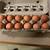 Eggs 4 thumbnail