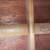 Mandolin - Sigma Guitars Made in Japan for C.F. Martin & Co. 20 thumbnail