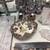 LARGE SELECTION OF ROCKS, CRYSTALS, FOSSILS ++ 3 thumbnail