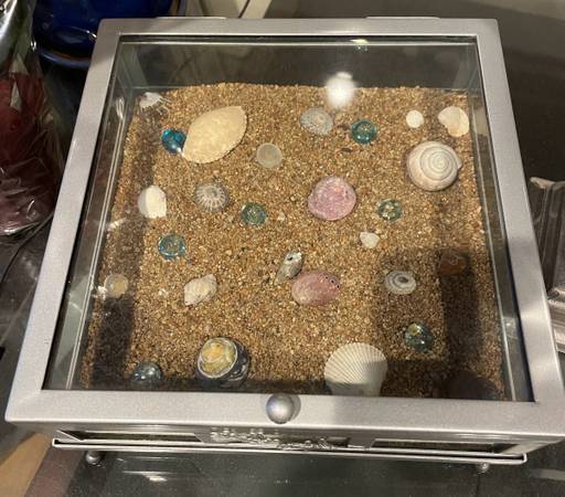 Decorative display box with sand and shells 1