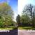 🇺🇸AMERICAN TREE TRIMMMING/TREE REMOVAL FULLY EQUIPPED 7 DAYS A WEEK 8 thumbnail