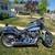 HARLEY DAVIDSON 2 thumbnail