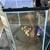 Fish tank 1 thumbnail