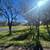 .42 Acre vacant lot in gated Hidden Valley Lake 3 thumbnail
