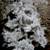 White Flocked Artificial Christmas Tree (4') 1 thumbnail