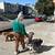 Experienced Dog Walker Needed ASAP – San Francisco – Consistent Work!! 8 thumbnail