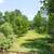 2ba- 11802 Meadowood Lane 19 thumbnail