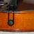 15" Carlo Robelli Viola 4 thumbnail