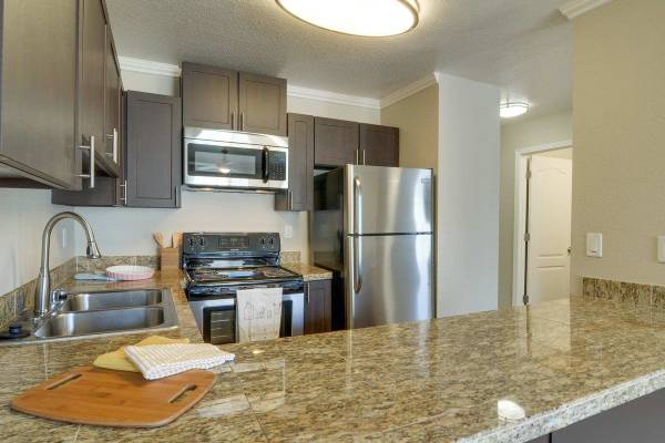Gorgeous 1 BR -Fireplace, Pool, & Fast Access to Public Transit! 1