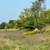 Large 35 acre lot available in the City of Elkhorn 8 thumbnail