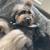Professional Dog Walking and Pet Sitting in Brooklyn 3 thumbnail