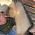 Yearling Blue Valentine Horse for sale 4 thumbnail