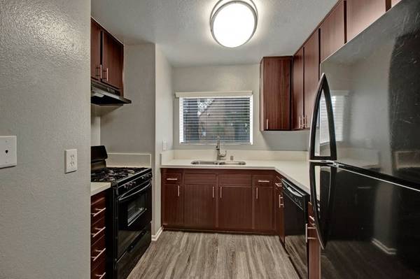 Dramatic Vaulted Ceilings, Three Laundry Care Rooms, 1/bd 1/ba 1