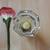 Classic Chinese Inner Painting Vase Nature Scenes 7 thumbnail