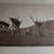 Edward Curtis original photogravures 6 thumbnail
