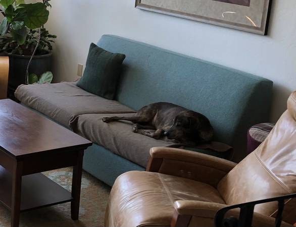 Medley Eco-friendly Sleeper Sofa 1