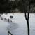 Retreat on Lake in Mountains: SKI Elk MT., Ice Fish, Ice Skate 10 thumbnail