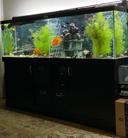 125 gallon Aquarium, stand, glass canopies, LED lights 1