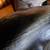 Big Sky Carvers Wood Skunk 16 thumbnail