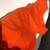 NWT*👉🏻Basic Dog Hoodie 20" Large Vibrant Orange 5 thumbnail