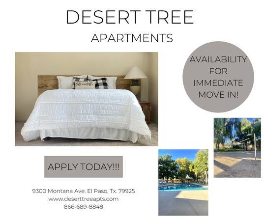 COME SEE OUR STUDIO APTS AND APPLY TODAY !!! 1