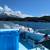1973 Bertram Cabin Cruiser 9 thumbnail