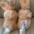 2 x Dan Dee Tan 8" Animated Plush Rabbit Plays Munch Sound 2 thumbnail