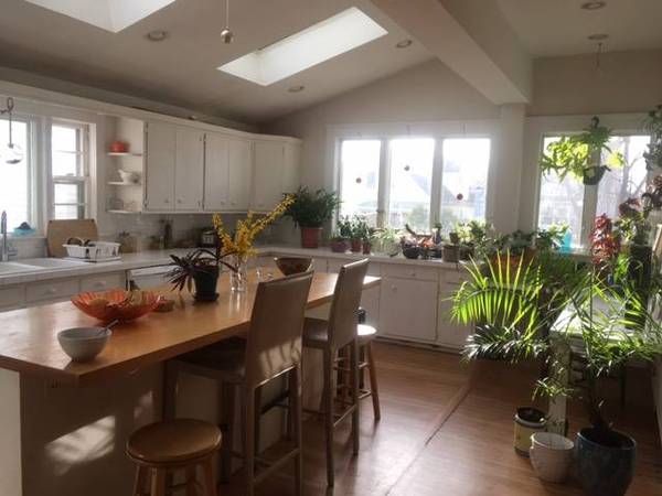 Seeking a roommate for our 4BR/1bath in Winter Hill, Somerville 1