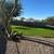 we accept  crypto  SONORAN HILLS-gated1 and1/2 acre  open house 4 thumbnail