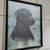 Black Labrador Retriever Framed Picture 2 thumbnail