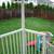 3 bdrm Beautiful house with backayard and double garage 14 thumbnail