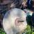 Antique - Mill Grinding Stone Wheel 3 thumbnail