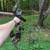 Compound Bow Martin Jaguar 6 thumbnail