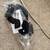 FOX DROPFRAME PRO SIZE MEDIUM MOUNTAIN BIKE HELMET 6 thumbnail
