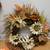 FALL HOLIDAY DECORATION SET (Scarecrows, Napkins, Wreaths, Pumkins) 4 thumbnail