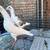 2 Homing pigeons 6 thumbnail