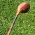Top $$$ Paid For Antique Golf Items Wood Shafted Clubs &Classics, Etc. 2 thumbnail