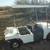 ELECTRIC GOlFCART 1 thumbnail