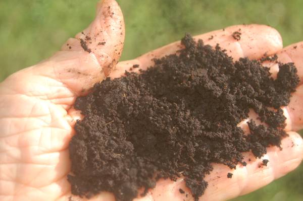 Bio Char, ultrafine, activated 1