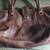 BCBGirls Purse 3 thumbnail