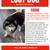 Lost dog 1 thumbnail