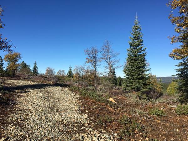 $199,000 Reduced Panoramic Views 107 Acres with Mineral, Timber  and Water (Nevada City)63952104499971122