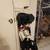 Snowboard Boots, Binding, Bag, and Board!!! 2 thumbnail