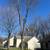 SL landscaping & Tree service 6 thumbnail