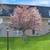 Charming 1BR/1BA Apartment-Pet Friendly September Lease 4 thumbnail