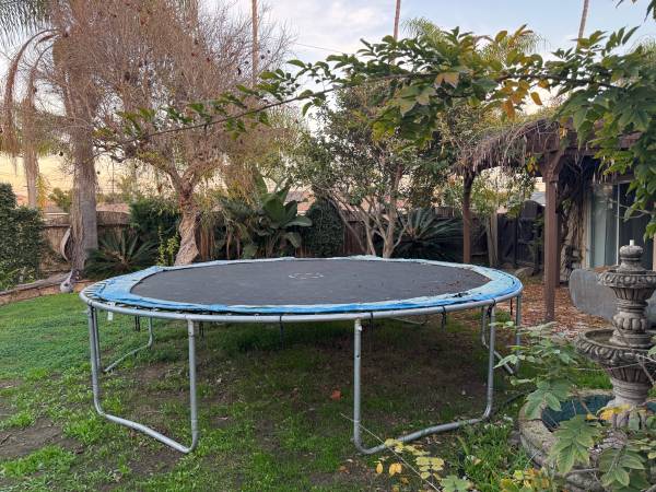 Free trampoline 1