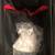 Lady  Stetson Locker Bag 4 thumbnail
