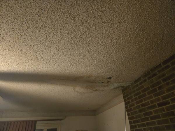 Roof repair or Cimney Repair maybe? 1